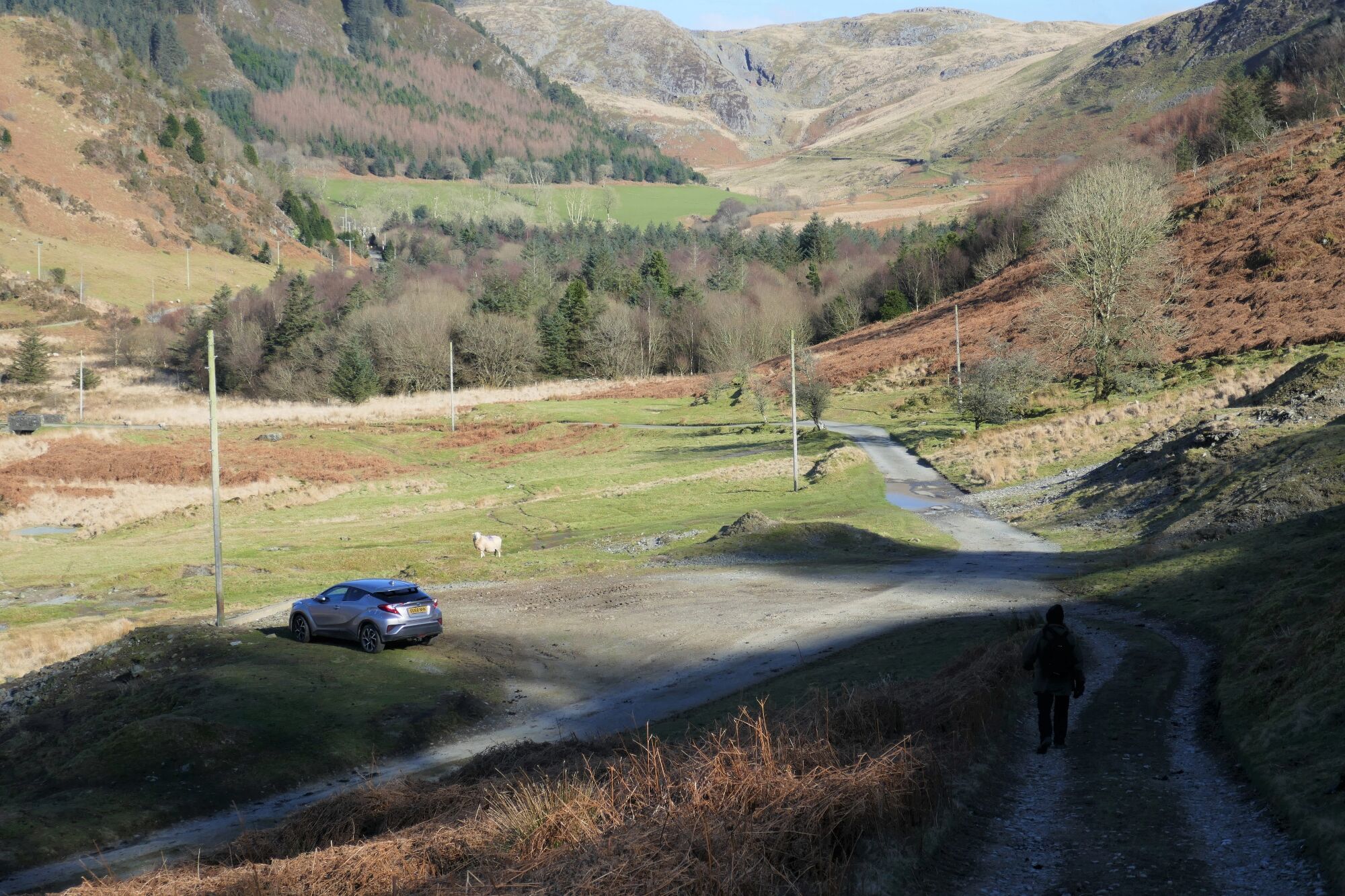 RachelSeabrook.net | Wild Walking | Cwm Cyneiniog and Craig y Pistyll | pic50